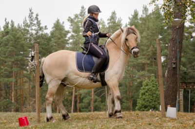 Maria Wieslander & Caxe.