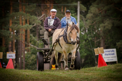 Rolf Wester & Lukas.